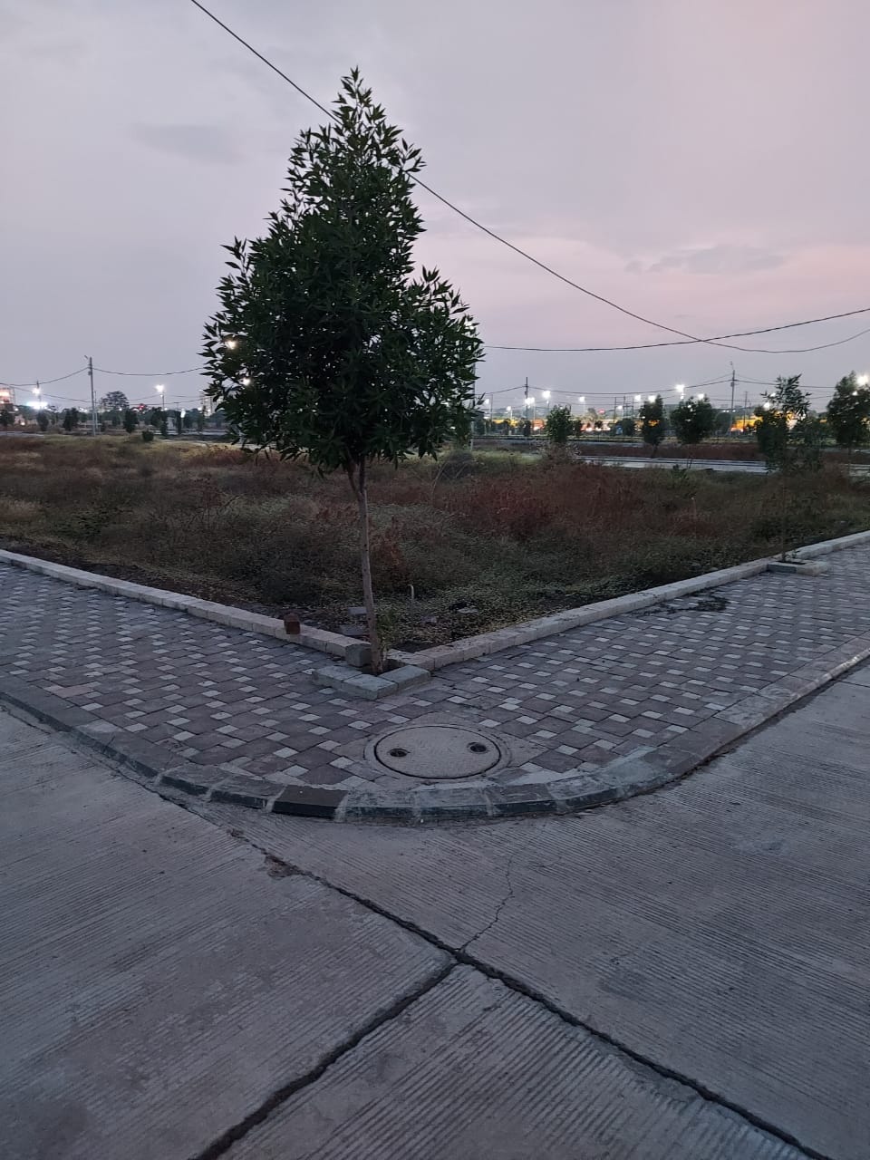 Garden View of Solitaire Park