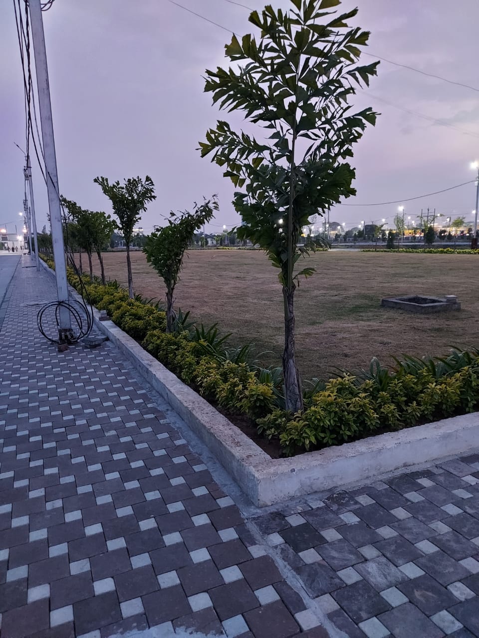 Garden View of Solitaire Park