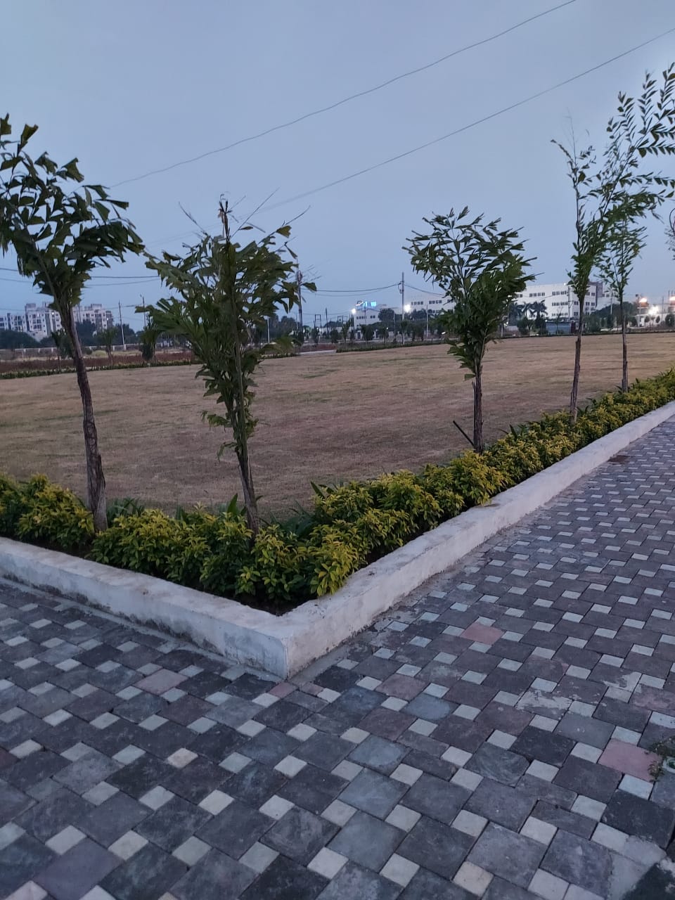 Garden View of Solitaire Park